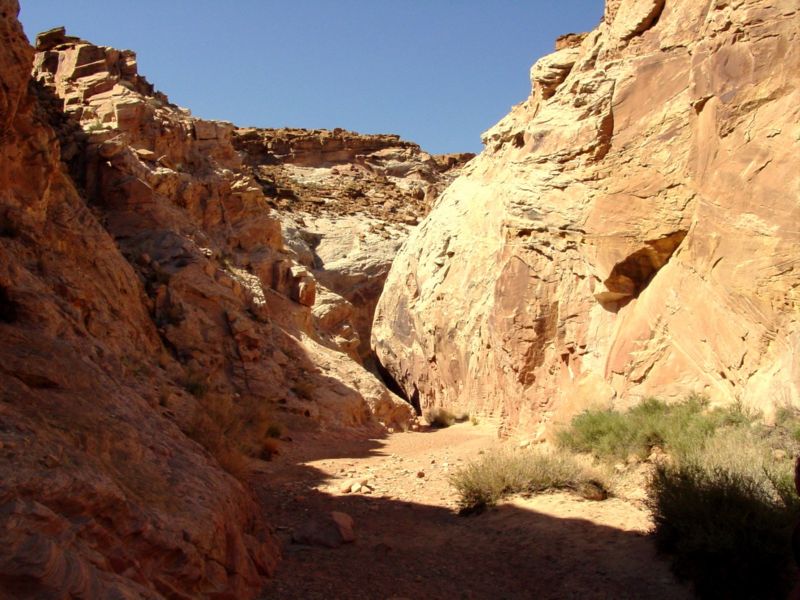 04160302LittleWildHorse (1017)